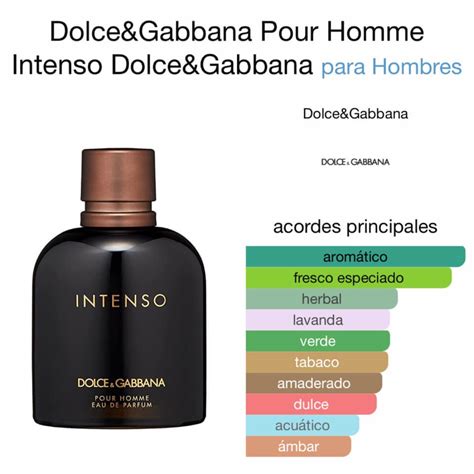 intenso dolce gabbana pour homme|dolce and gabbana intenso notes.